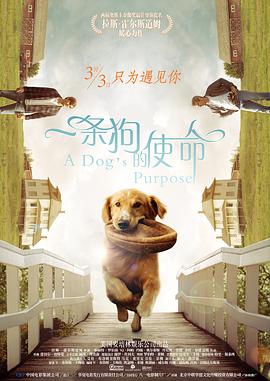 2024年Disney+官宣将与姜草继续合作，带着新作《照明商店》回归，2月 《照明商店》：灯会永远熄灭，但爱会永远发光 2023-12-10 “每一个你害怕的‘鬼’，都是别人日思夜想的人”。